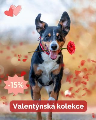 Valentýnská kolekce se slevou 15 % až do 18. 2. ❤️ V košíku stačí zadat kód: VALENTYN #valentynsepsem #valentyn #pes...