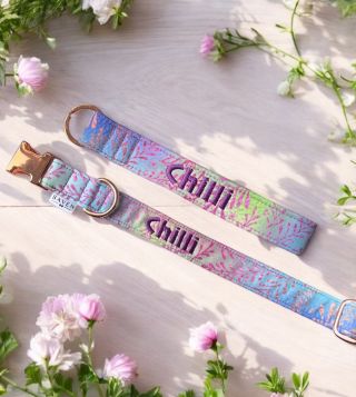 ✨ Novinky jsou tady ✨ Na našem e-shopu právě přistály první novinky a spoustu dalších bude následovat! 🐶 Už teď však...