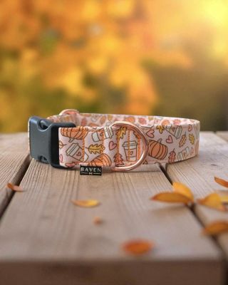 🍂 Už je to tadyyy! 🎃 Spadané listí, vůně skořice a pečených jablek, dlabání dýní a psi, kteří si z podzimních procházek...